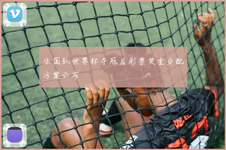 法国队世界杯夺冠后彩票奖金分配方案公布