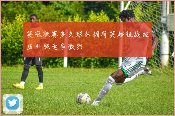 英冠联赛多支球队拥有英超征战经历升级竞争激烈