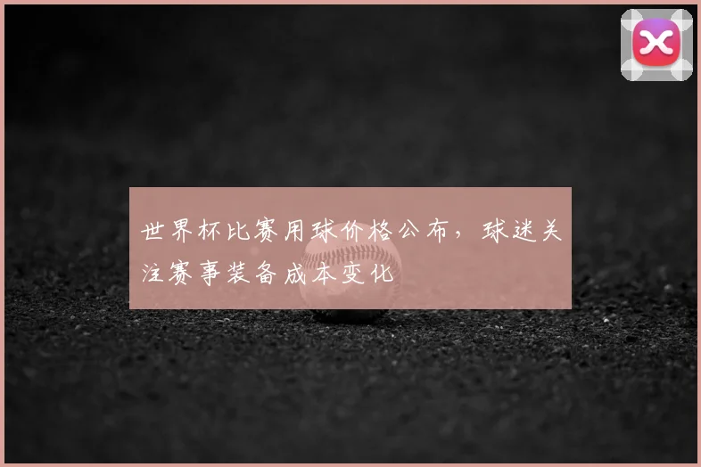世界杯比赛用球价格公布，球迷关注赛事装备成本变化