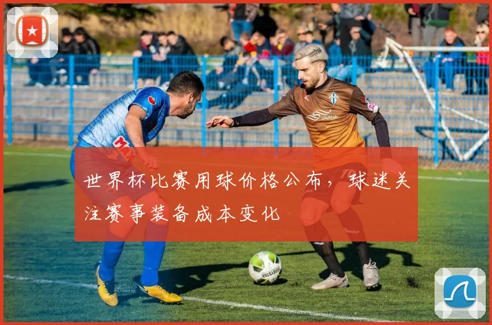 世界杯比赛用球价格公布，球迷关注赛事装备成本变化