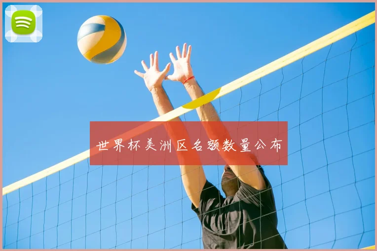 世界杯美洲区名额数量公布