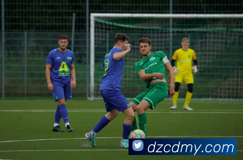 巅峰国际app注册入口官网发展历程